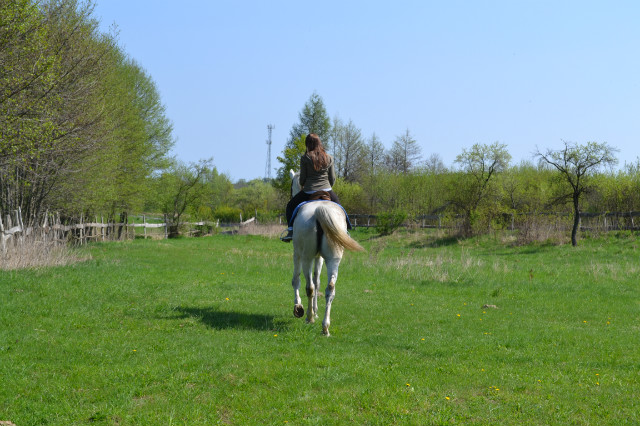Kissmyass