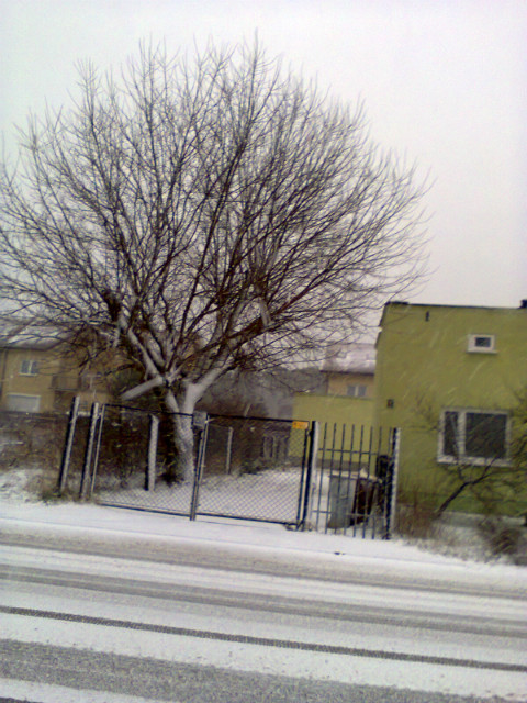 HEJTY