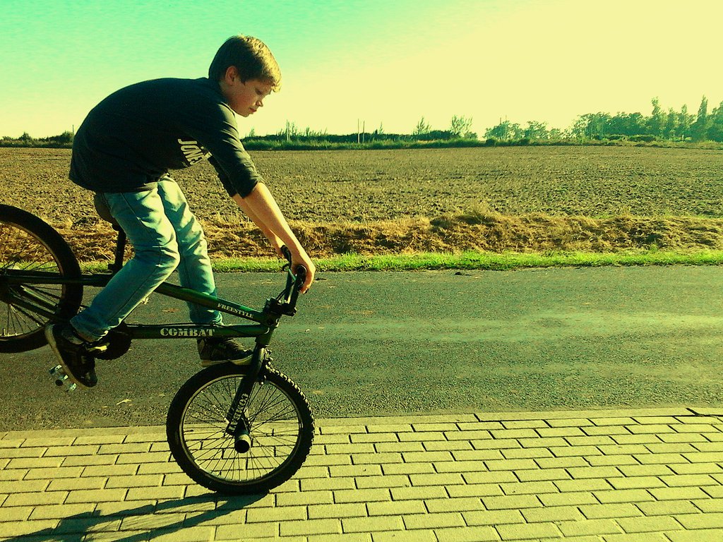 BMX*-* 