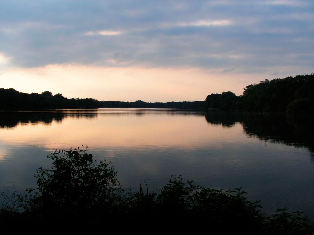 Wieczna zima