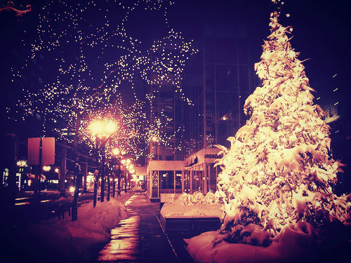 Christmas, evrywhere 