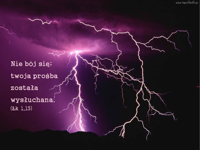 19 grudnia