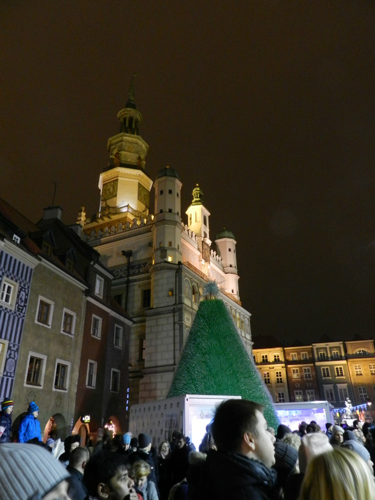 eko choinka Pozna