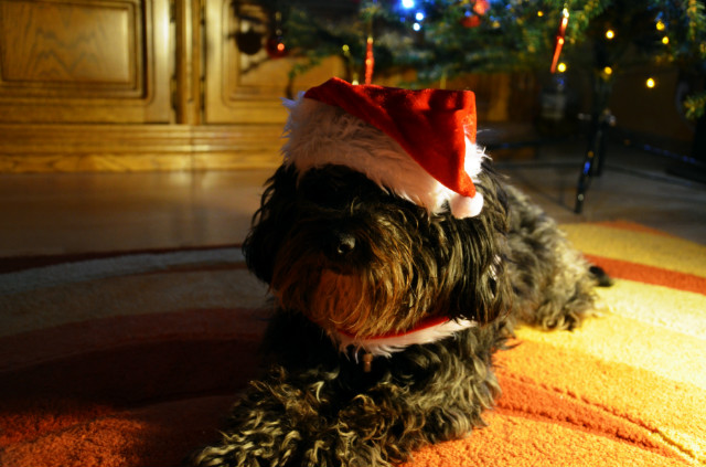 3 days to Christmas Eve