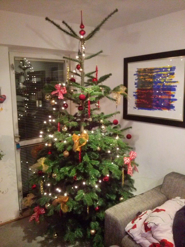 stare - nowe - dzieje