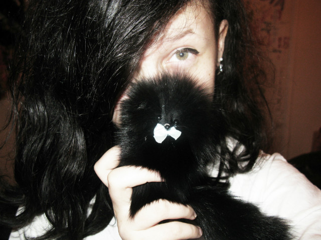 Siema.