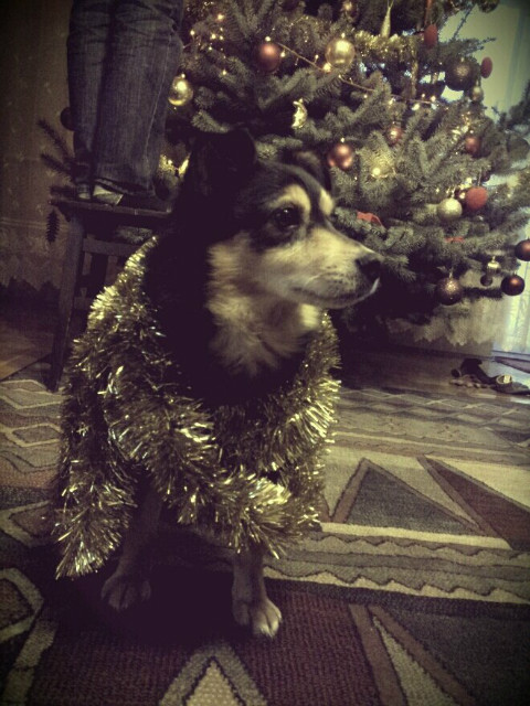 buba