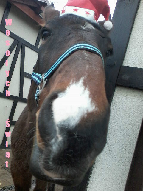Wesoych wit dla wszystkich :*