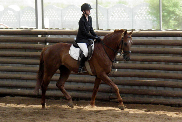 Odznaka 2011