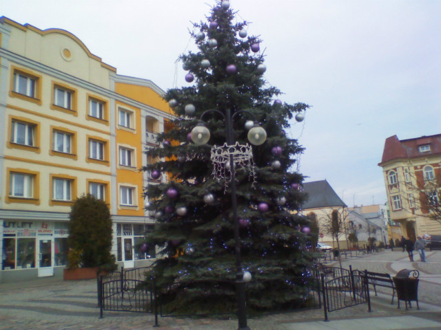Zachwycajco pikna