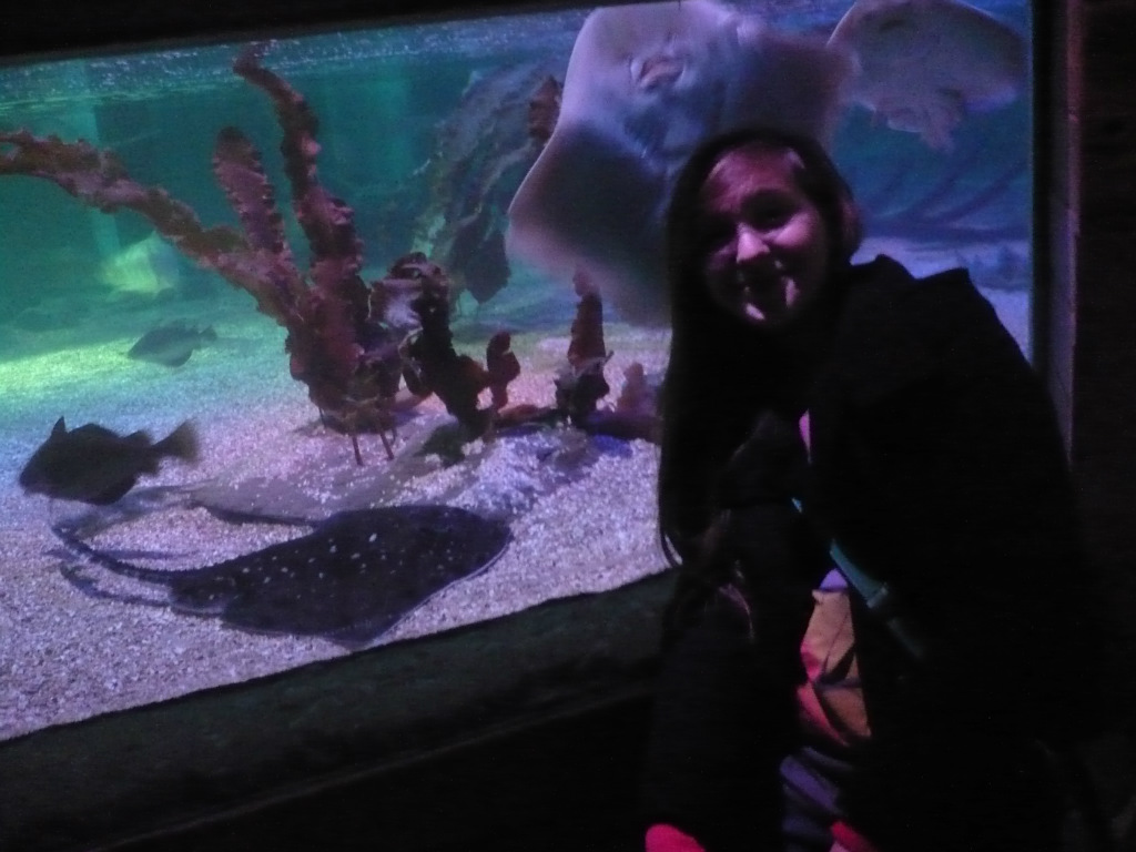 Oceanarium XDDD