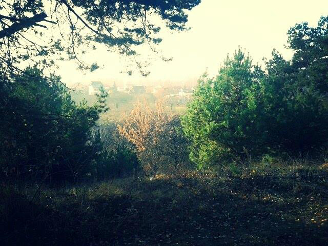 adny widok