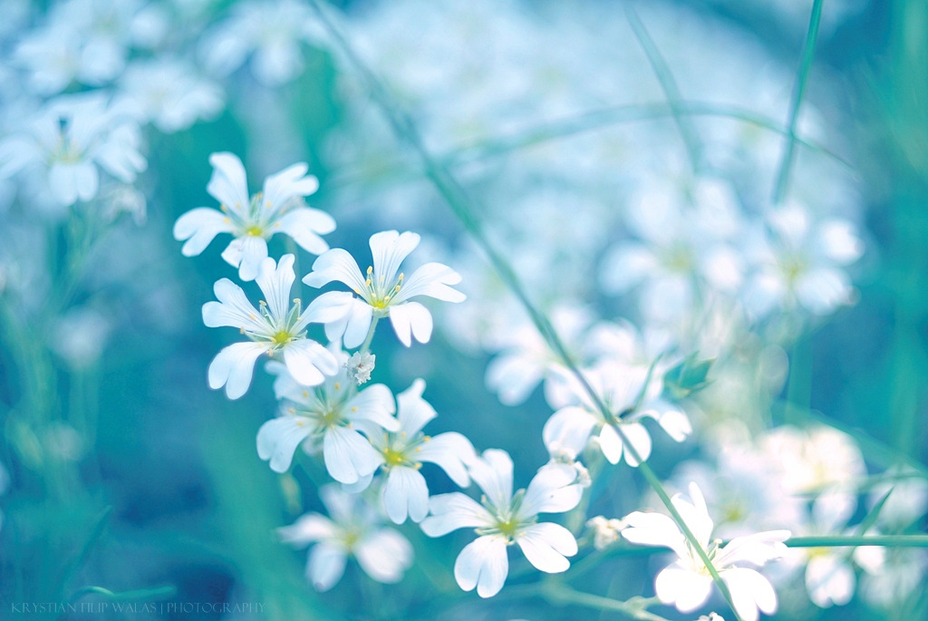 blue.