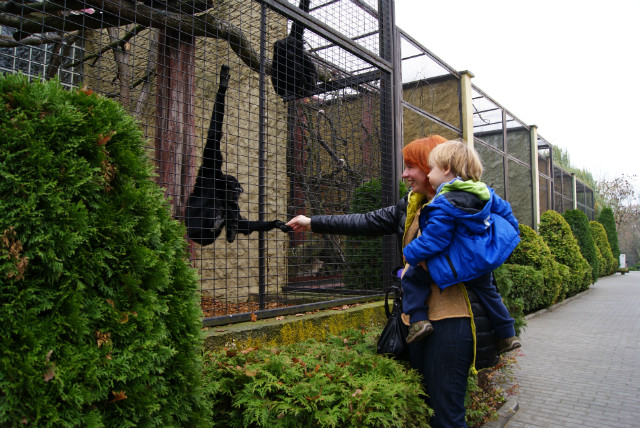 ZOO