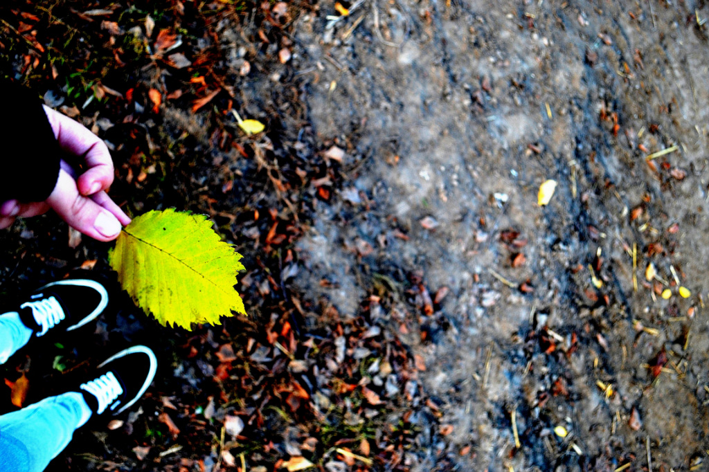 yellowleaf