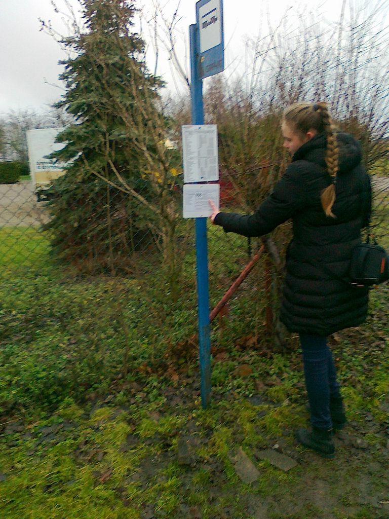 Sesyjka