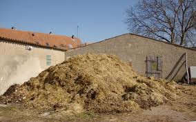 umnie na podwurzu