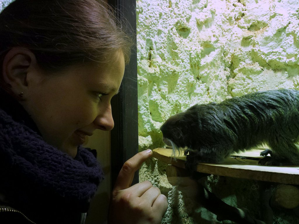 Zoo