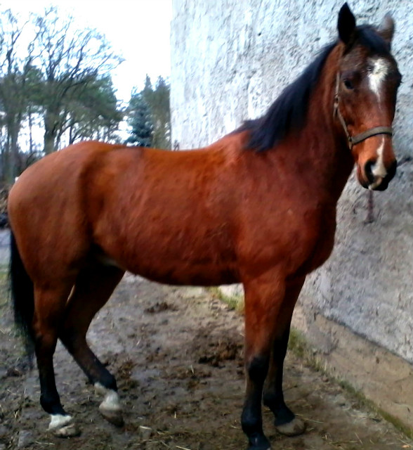 30.12.2013r.