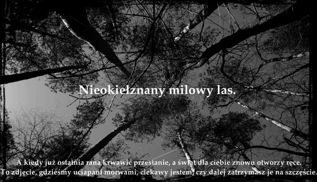lUPKA.