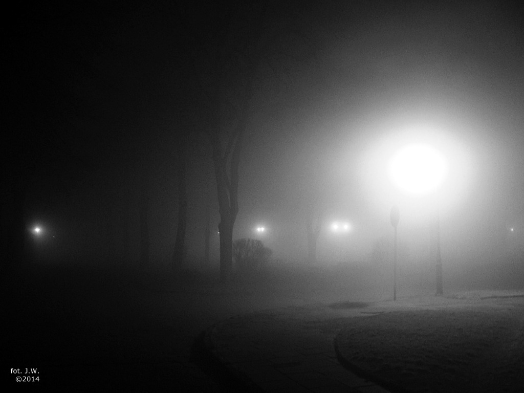 roda, 1 stycznia 2014