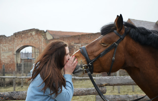 28.03.2013 Kuba