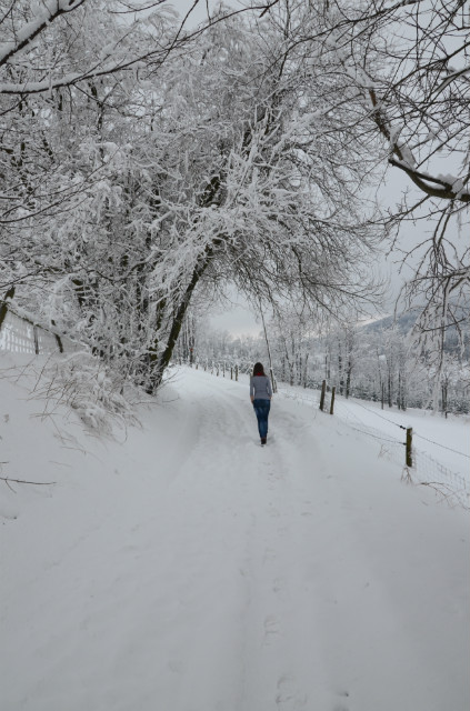 105. Zima..