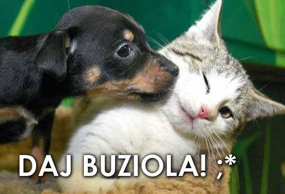 Kocha mona raz. ;D