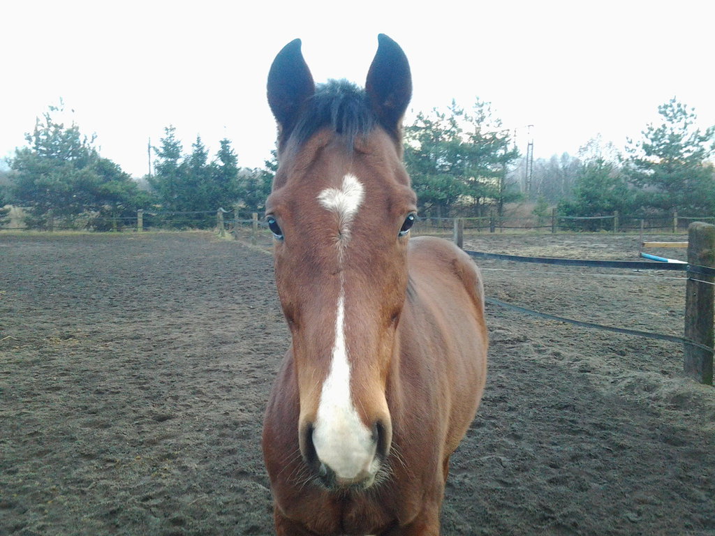 Maciek ;)