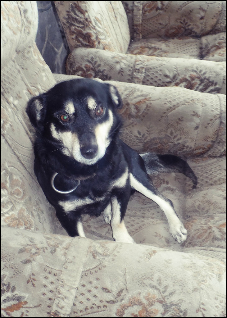 piesa