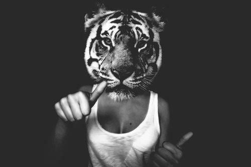 Meow 