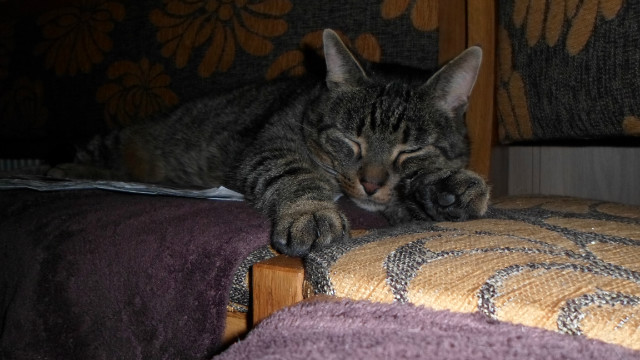 Maciej :*