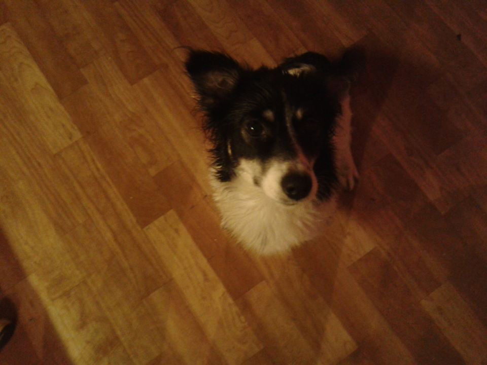 Moja luna 