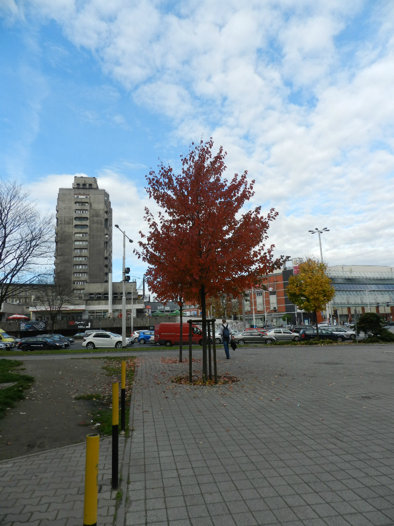 Wrocaw, Plac Grunwaldzki