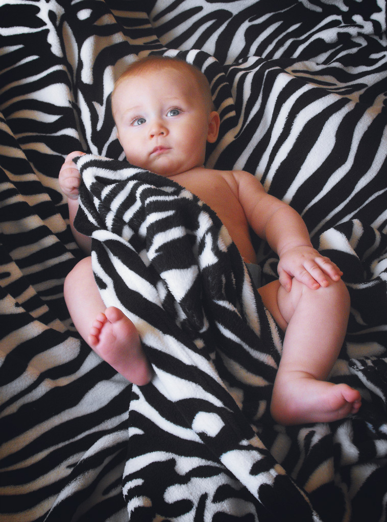 zebra :)