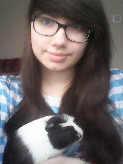 Domino :3 
