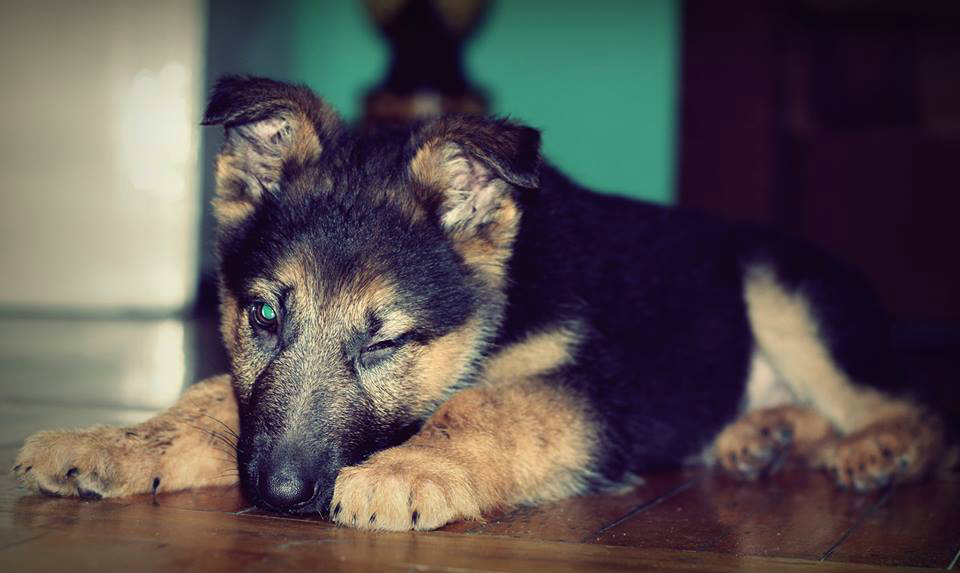 Szary :)