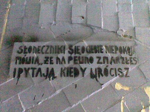 soneczniki