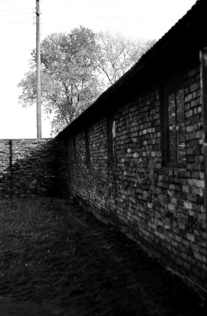 auschwitz