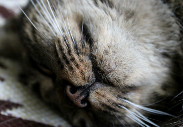 :3