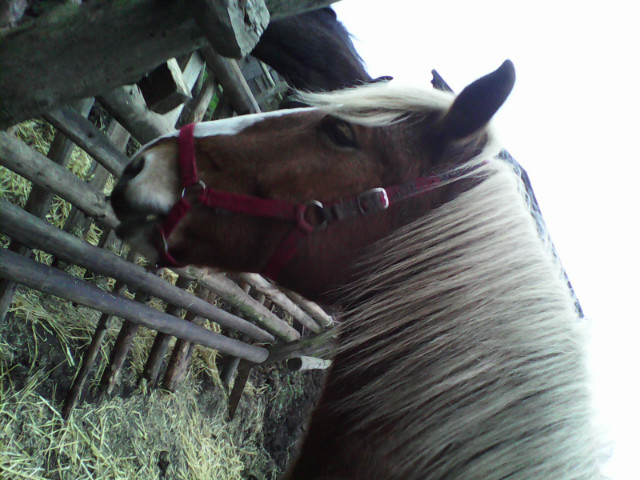 Szkoa... -,-