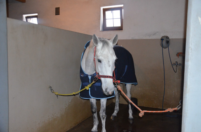 MISTRZ!