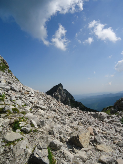 dziennik pokadowy