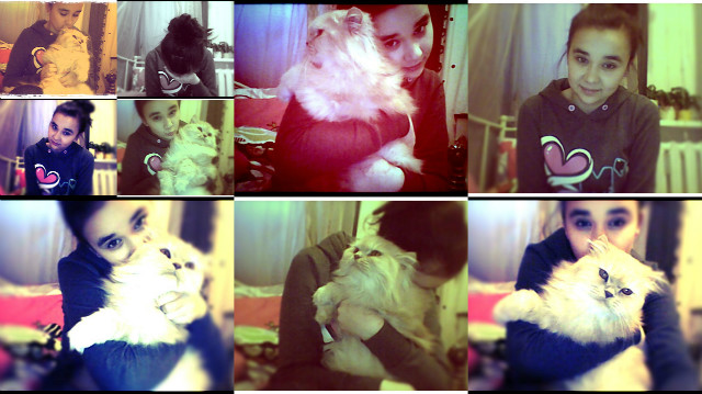 kote;3
