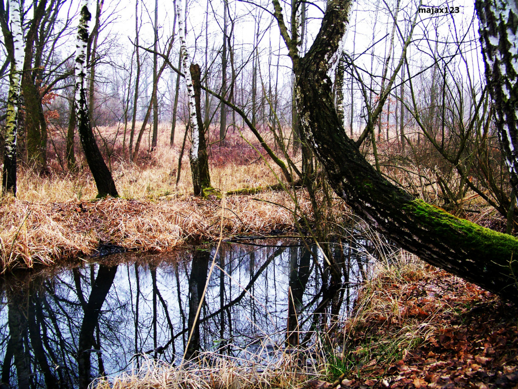 place of solitude 