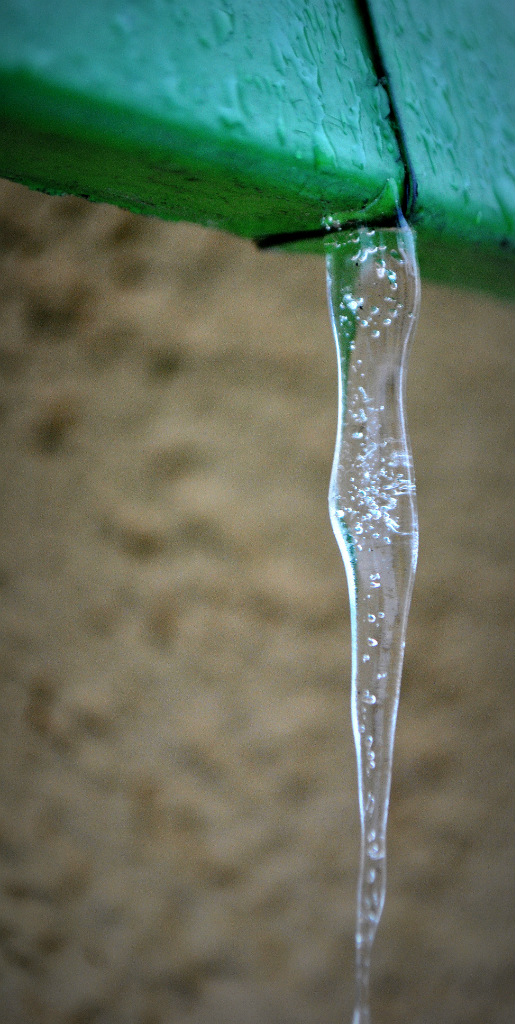 bo lubi zim