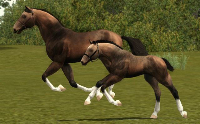 Fuchsielle & Fifi