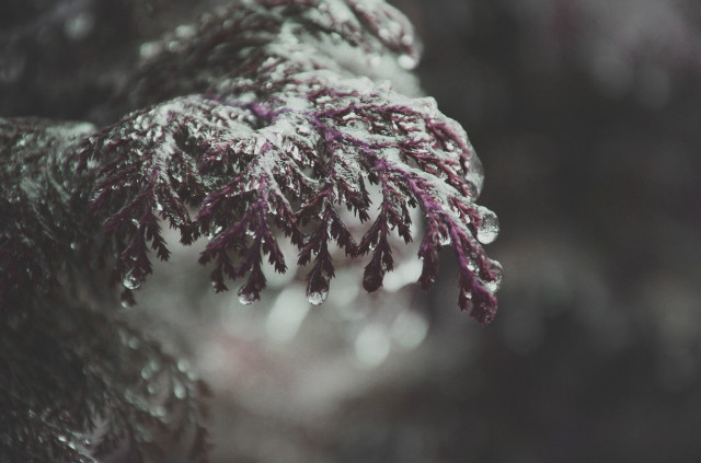 a cold walk