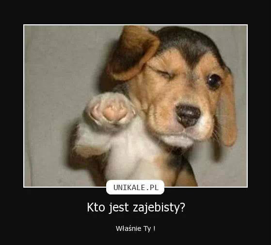 Zajebista zajebisto haha ;)