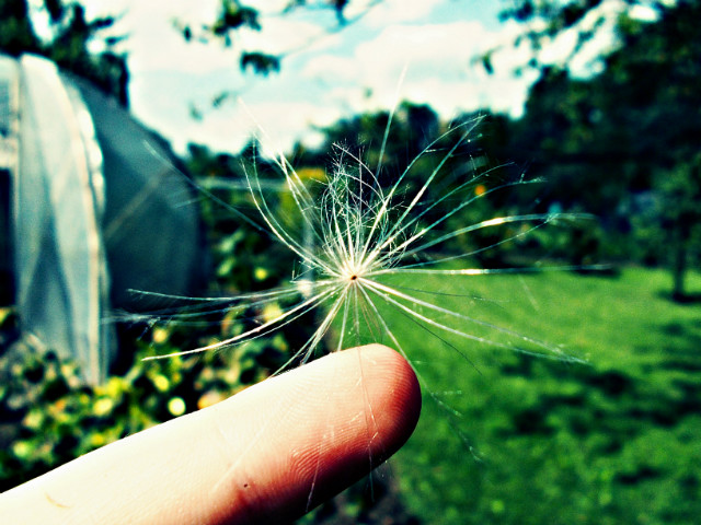 Carpe Diem. 